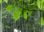 今明河南大部仍有强降雨 郑州等暴雨伴大风等强对流天气