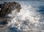 赤潮适宜发生的海水温度范围 赤潮发生的海域水温